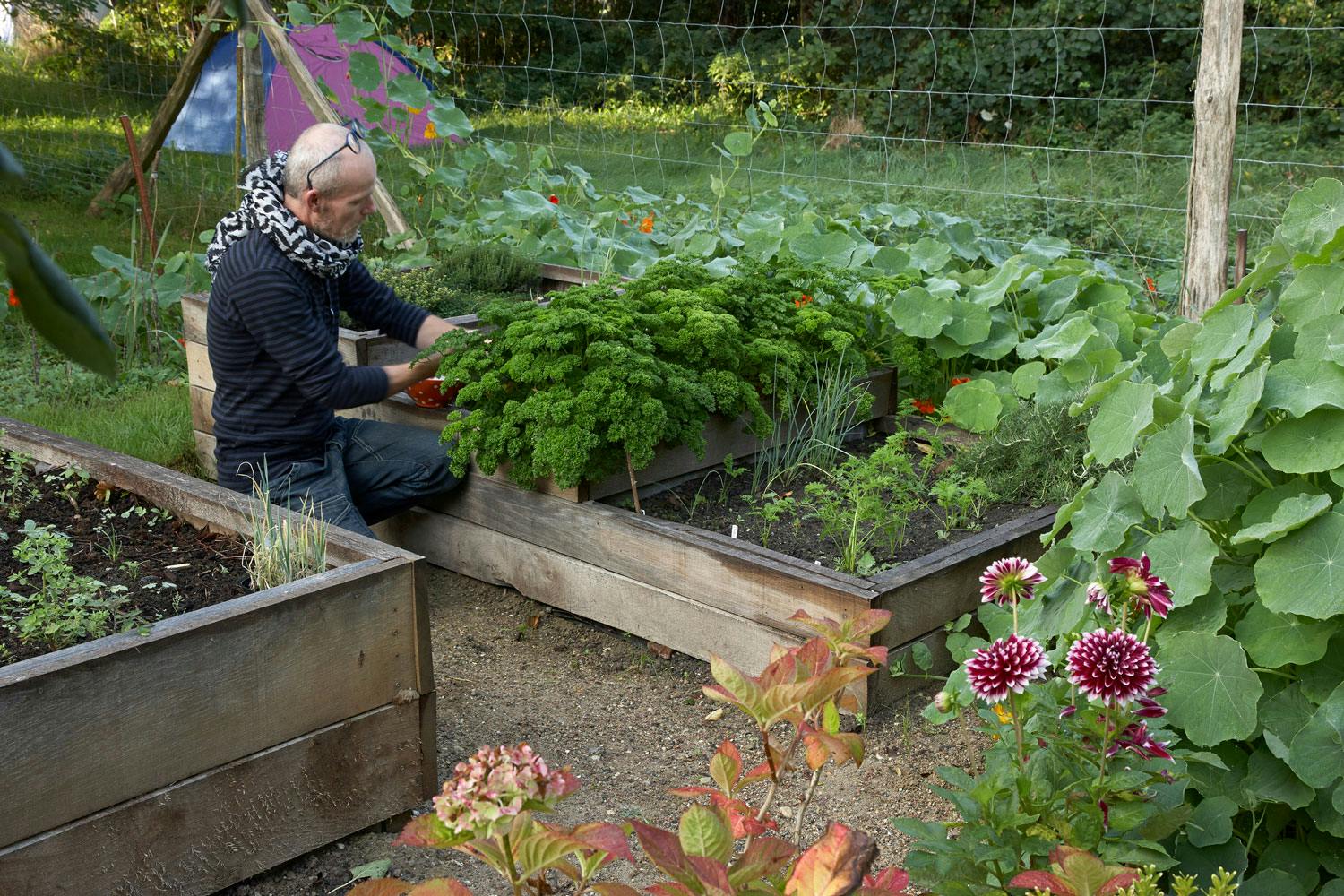 Høybed med krydderurter Kjøkkenhage med høybed
